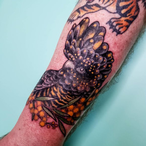 Red tailed black cockatoo with wattle. Either a female or a juvenile, guess that is for Neal to decide! Also go follow @littlebitsofhistory if you like history facts. @withlovetattoo #tattoos #ink #tattoo #cockatoo #blackcockatootattoo #blackcockatoo #par