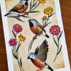 black throated finch giclée Print