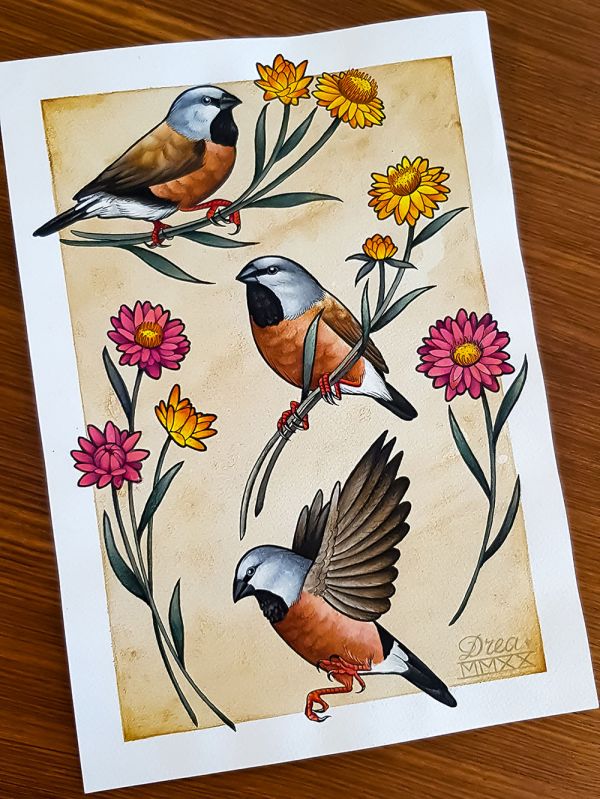 black throated finch giclée Print